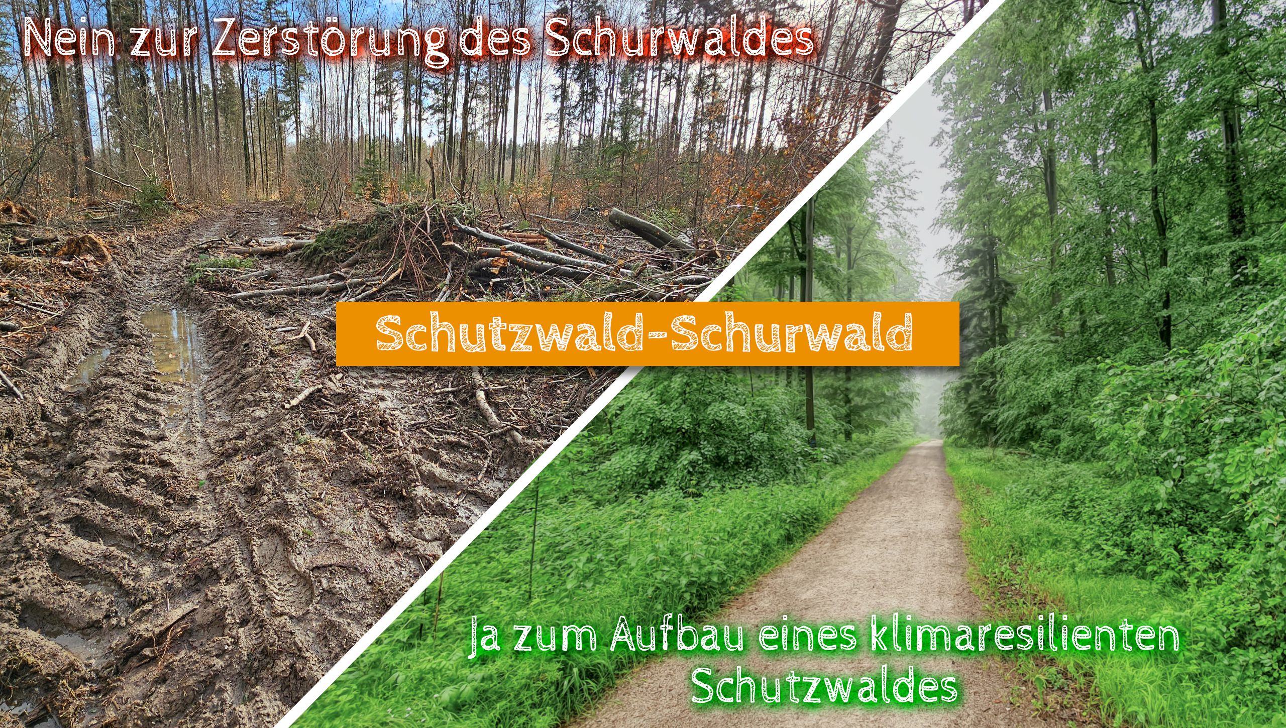 Schutzwald-Schurwald Panorame