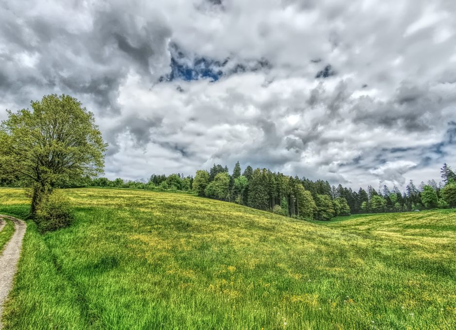Der Schurwald ist wichtig für Mensch und Tier