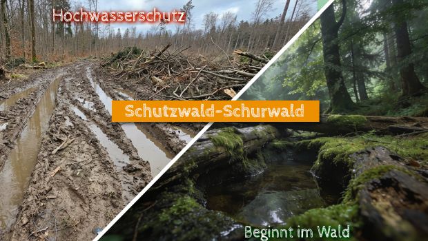 Hochwasserschutz beginnt bereits im Wald