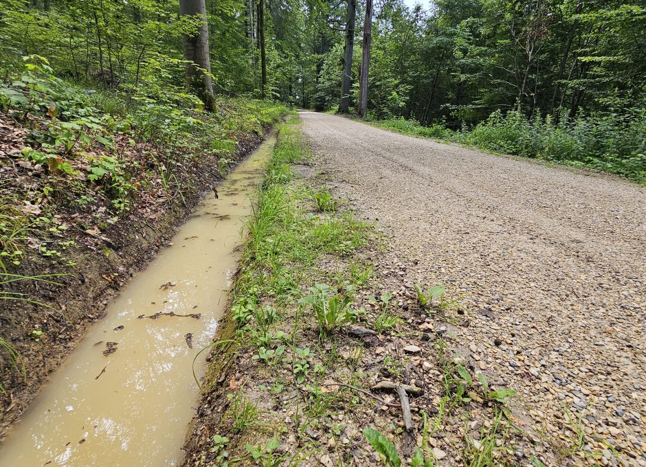 Schnelle Ableitung von Regenwasser in die Täler durch bauliche Maßnahmen im Wald