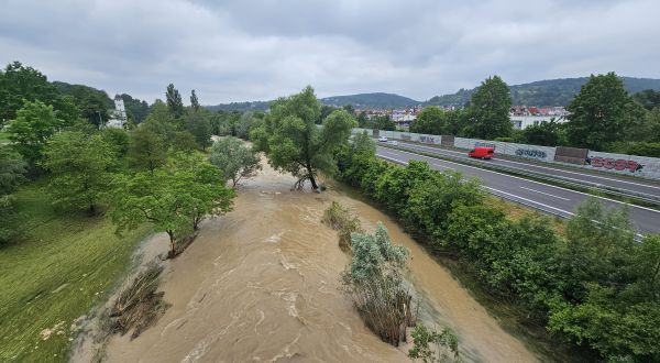 Waldschutz ist Hochwasserschutz