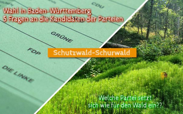 Die Landtagswahl in Baden-Württemberg - wie stehen CDU, FDP, DIE LINKE und GRÜNE zum Wald?