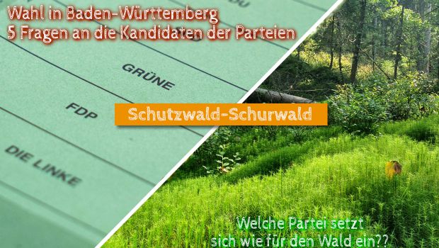 Die Landtagswahl in Baden-Württemberg - wie stehen CDU, FDP, DIE LINKE und GRÜNE zum Wald?