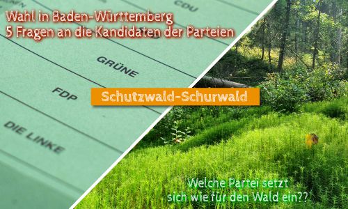 Die Landtagswahl in Baden-Württemberg - wie stehen CDU, FDP, DIE LINKE und GRÜNE zum Wald?