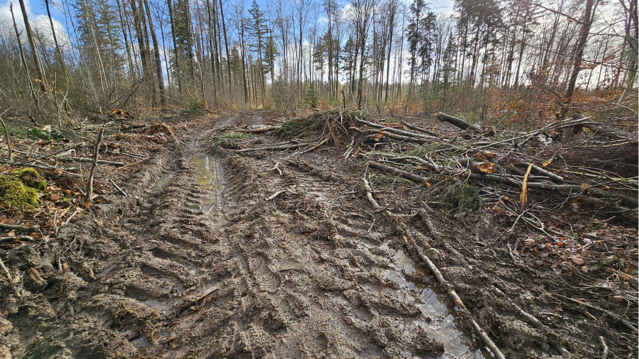 Zerstörung eines Wanderweges