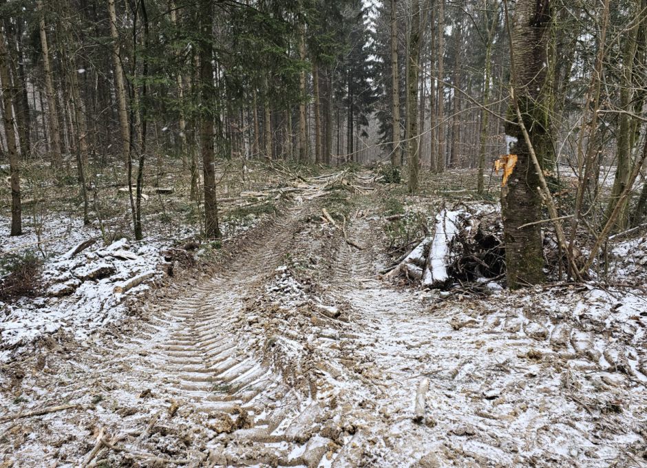 Rückegassen unter 40 Meter