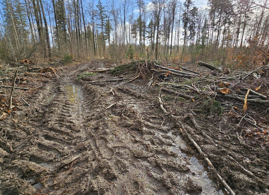 Zerstörung eines Wanderweges