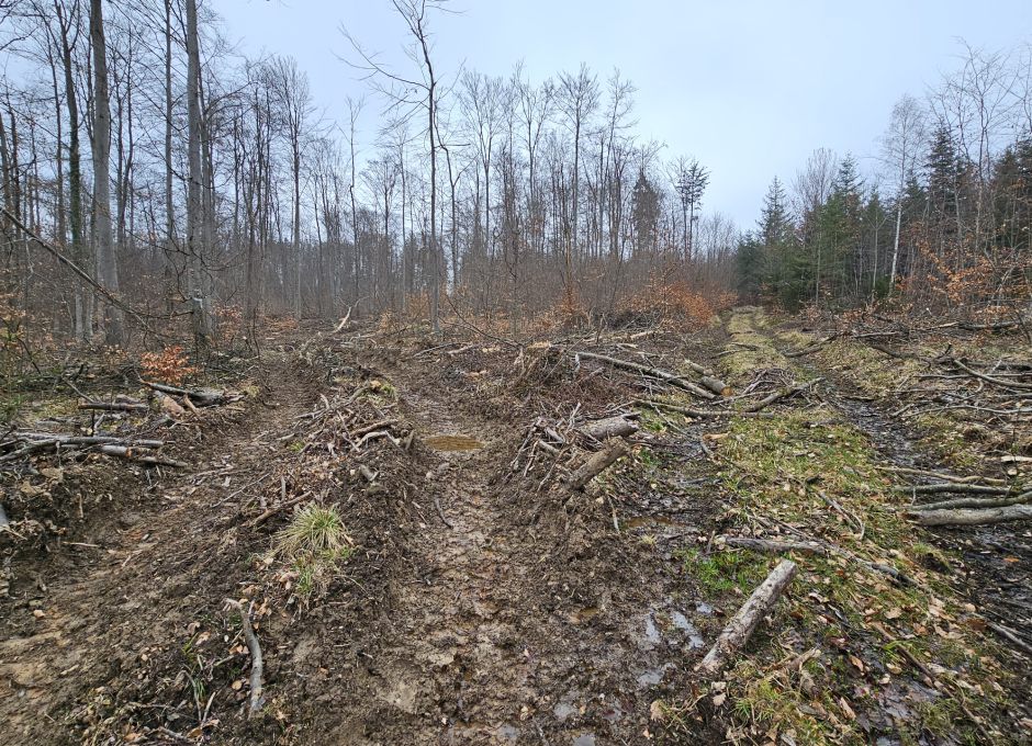 Tiefes Einsinken der Harvester