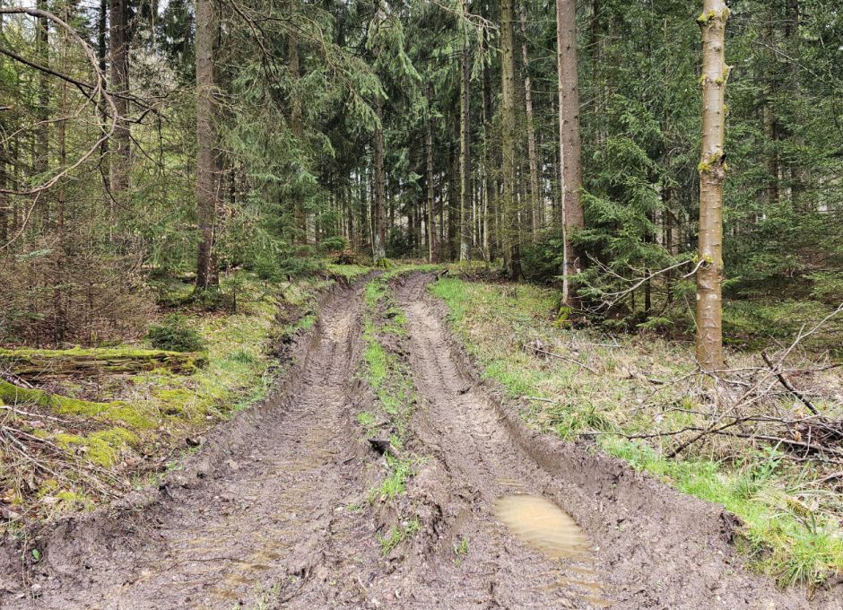 Verdichtung des Waldbodens durch Schwergerät