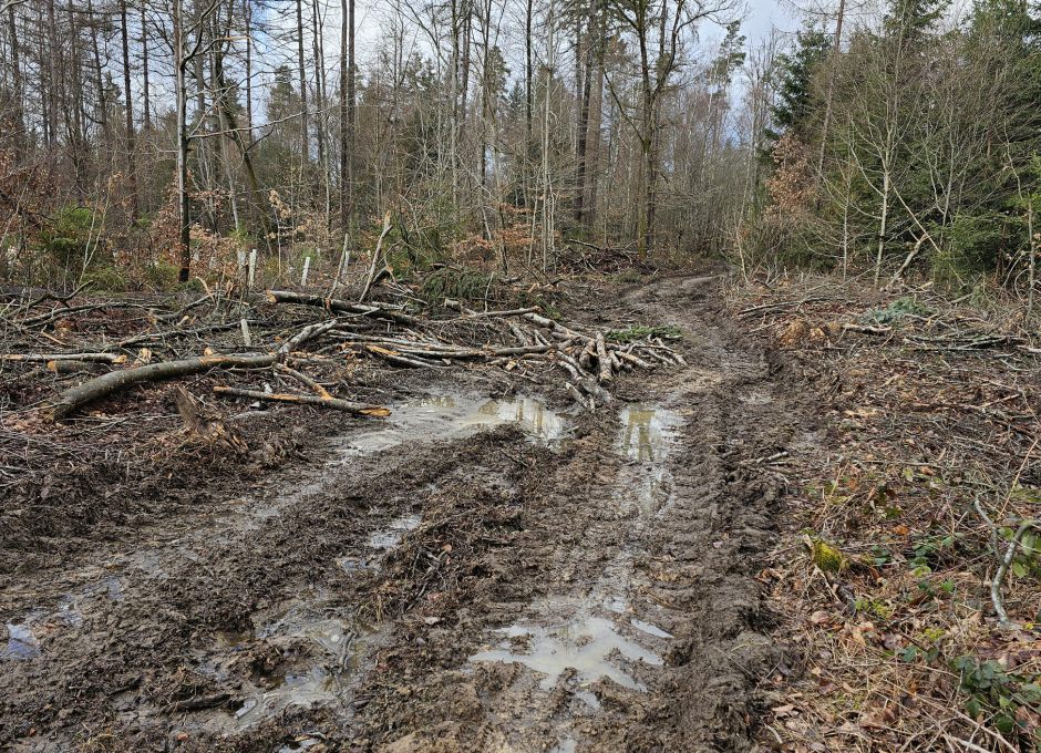 Zerstörung eines Wanderweges