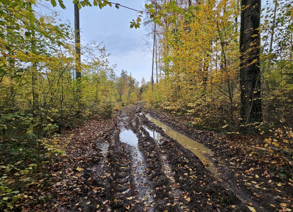 Zerstörung eines Wanderweges